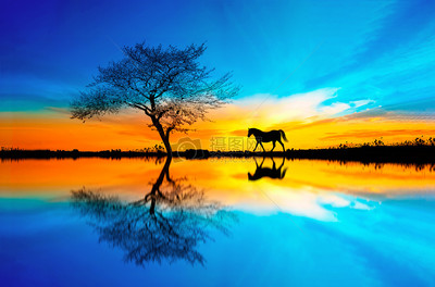 唯美的倒影圖片素材_免費下載_jpg圖片格式_VRF高清圖片500545175_攝圖網