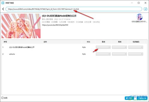 downkyi電腦版下載 b站視頻下載工具免費v1.5.4 綠色免費版 極光下載站