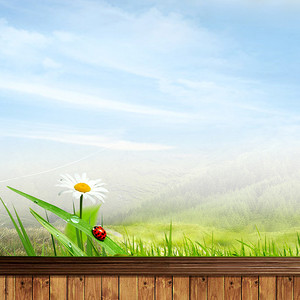 【清新自然小雛菊背景圖片】_清新自然小雛菊高清背景素材下載