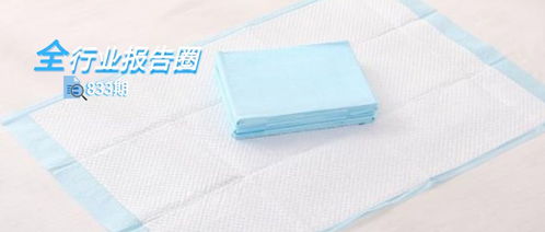 一次性衛(wèi)生用品行業(yè)系列報告之二 國產(chǎn)成人護(hù)理龍頭公司, 可靠 的產(chǎn)品與未來 