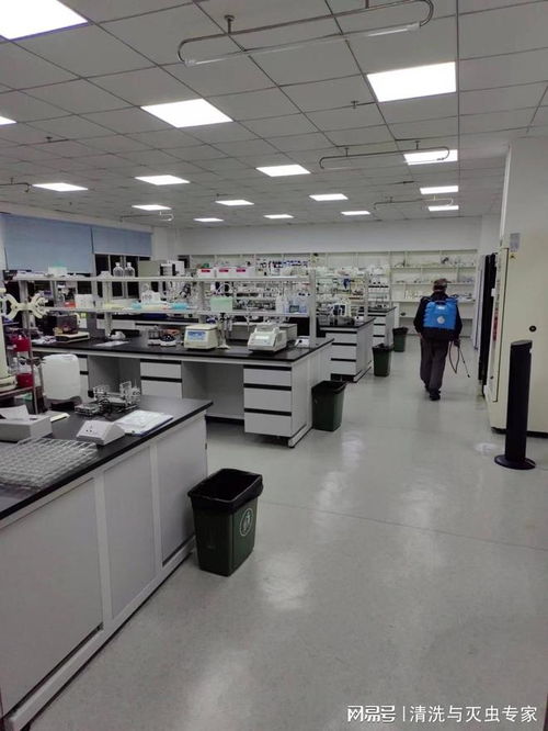 東莞工廠飯?zhí)脷⑾x費(fèi)用