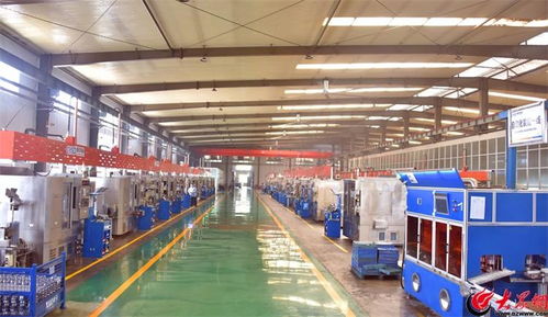 全市唯一 夏津這家企業榮登國家級5g工廠名錄