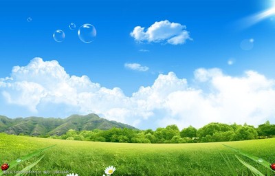 獲取高清藍(lán)天白云草地圖片的完整指南